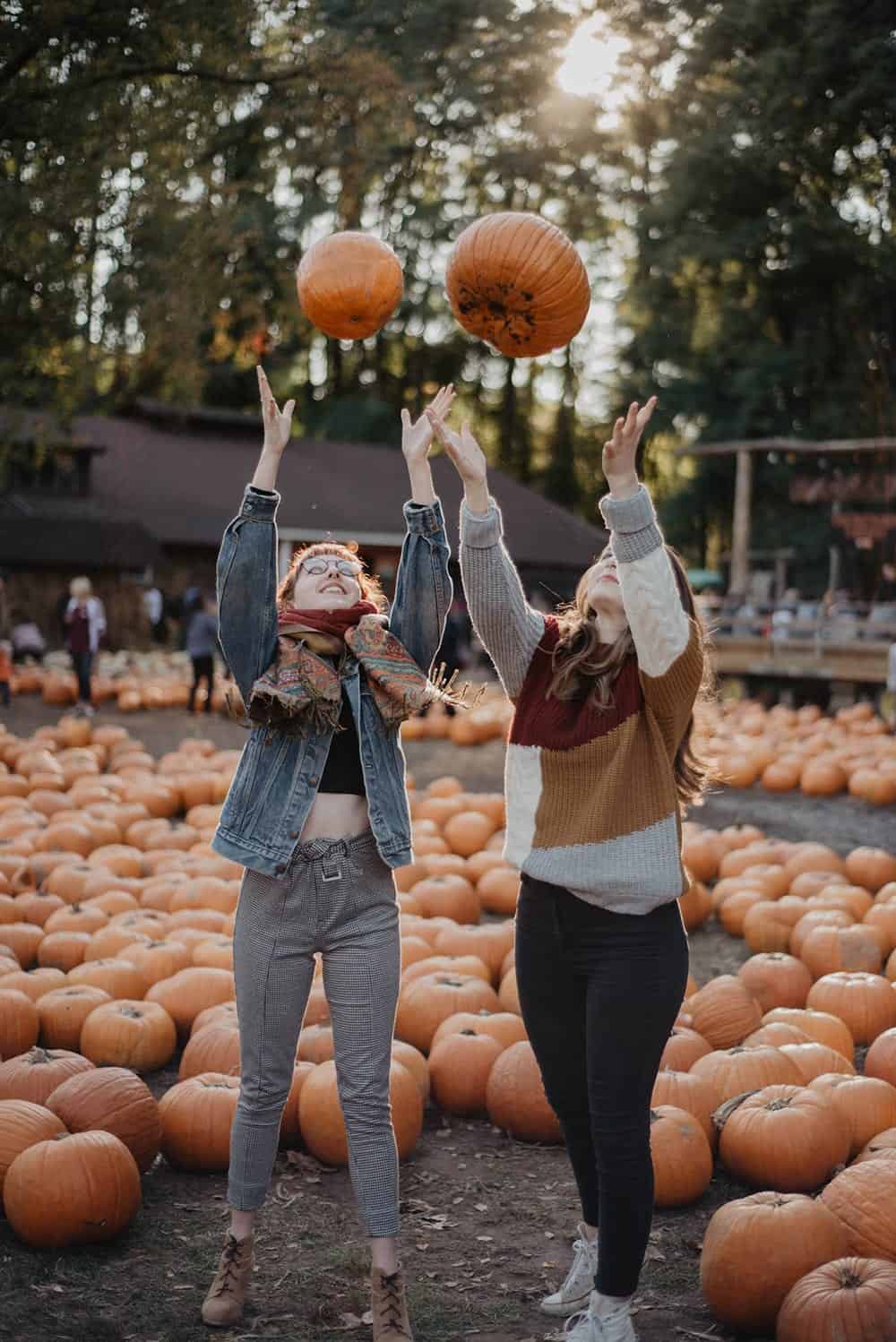 Gallery 4 olivia bauso 4InVMr1 kvk unsplash